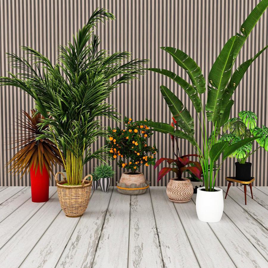 现代植物类盆栽组合模型